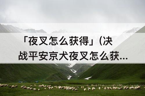 「夜叉怎么获得」(决战平安京犬夜叉怎么获得)