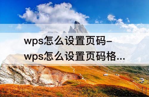 wps怎么设置页码-wps怎么设置页码格式为宋体四号