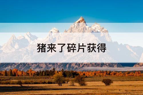 猪来了碎片获得