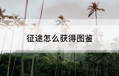征途怎么获得图鉴