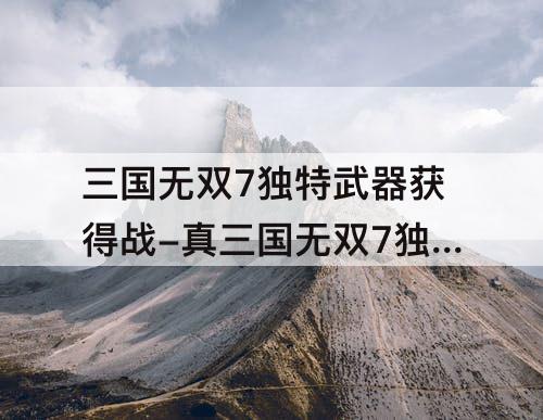三国无双7独特武器获得战-真三国无双7独特武器获得战吕布