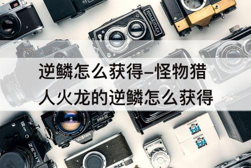 逆鳞怎么获得-怪物猎人火龙的逆鳞怎么获得