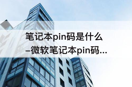 笔记本pin码是什么-微软笔记本pin码是什么