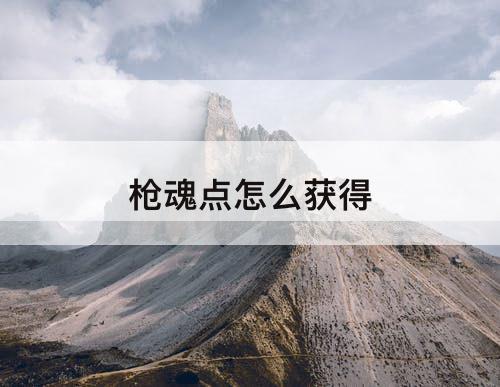 枪魂点怎么获得