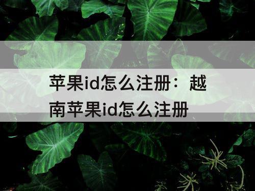苹果id怎么注册：越南苹果id怎么注册