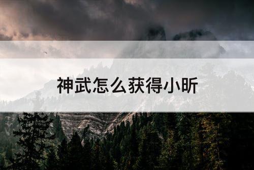 神武怎么获得小昕