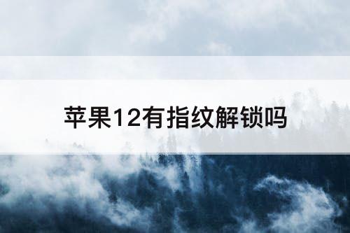 苹果12有指纹解锁吗