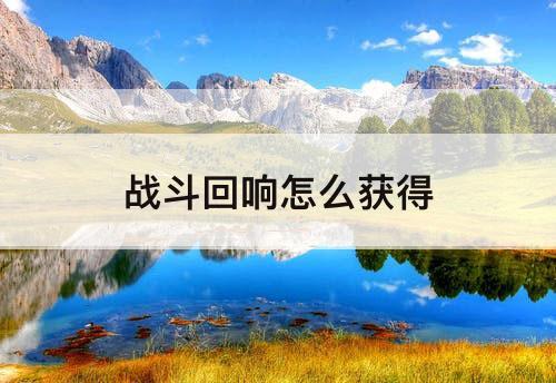 战斗回响怎么获得
