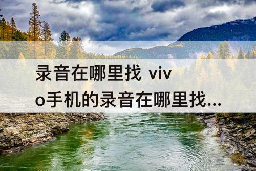 录音在哪里找 vivo手机的录音在哪里找到