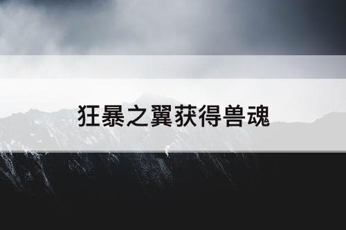 狂暴之翼获得兽魂