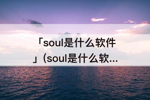 「soul是什么软件」(soul是什么软件怎么玩)