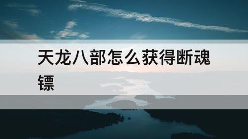 天龙八部怎么获得断魂镖