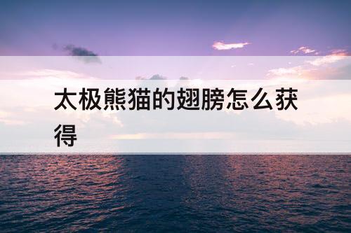 太极熊猫的翅膀怎么获得