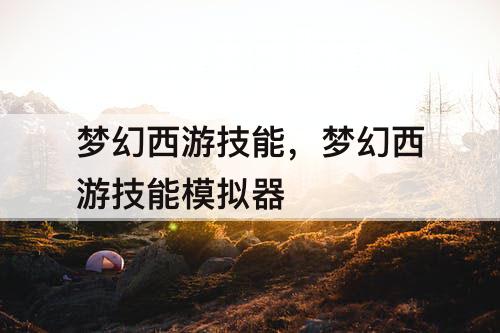 梦幻西游技能，梦幻西游技能模拟器