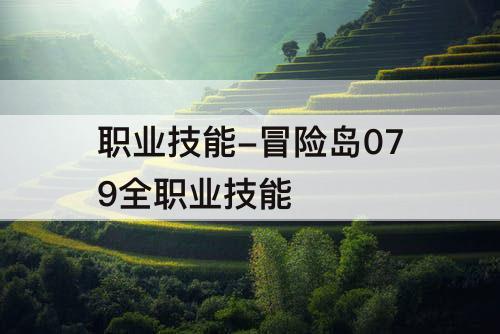 职业技能-冒险岛079全职业技能