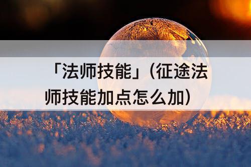 「法师技能」(征途法师技能加点怎么加)