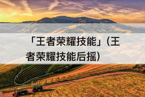 「王者荣耀技能」(王者荣耀技能后摇)