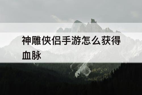 神雕侠侣手游怎么获得血脉
