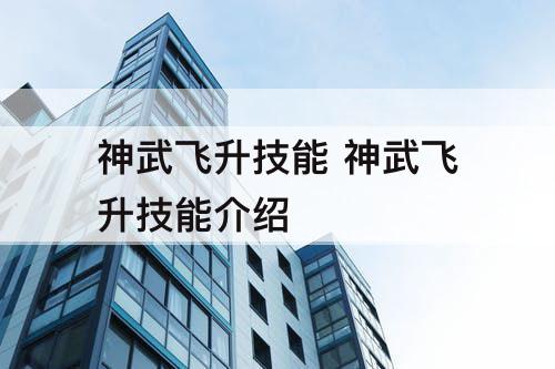 神武飞升技能 神武飞升技能介绍