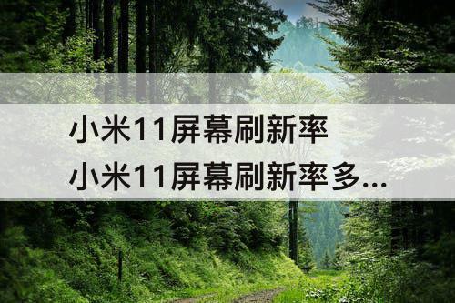 小米11屏幕刷新率 小米11屏幕刷新率多少