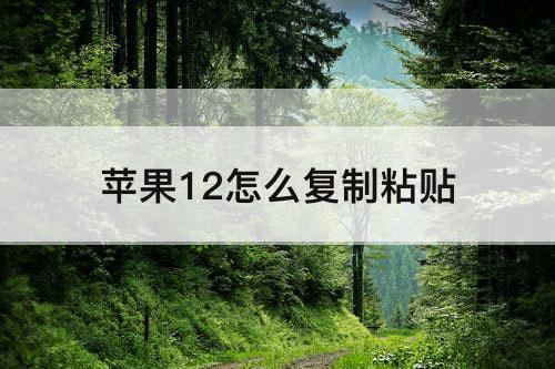 苹果12怎么复制粘贴