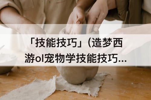 「技能技巧」(造梦西游ol宠物学技能技巧)