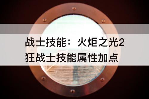 战士技能：火炬之光2狂战士技能属性加点