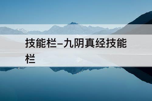 技能栏-九阴真经技能栏