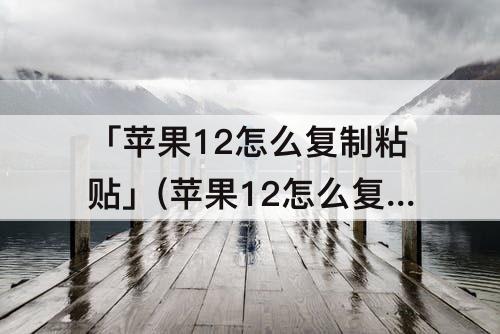 「苹果12怎么复制粘贴」(苹果12怎么复制粘贴到淘宝)
