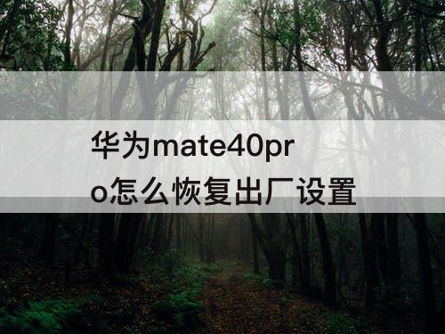 华为mate40pro怎么恢复出厂设置