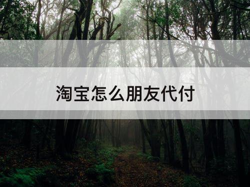 淘宝怎么朋友代付