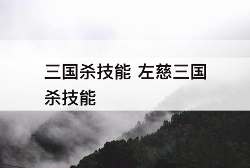 三国杀技能 左慈三国杀技能