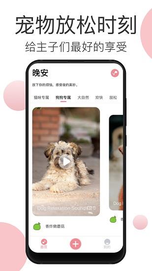 宠物音乐  v1.0.1图2