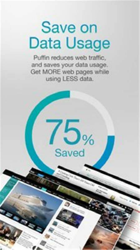 puffin浏览器  v9.1图2