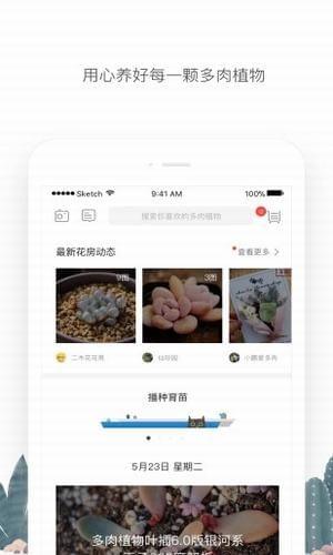 花兮  v1.1.2图3