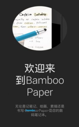 Bamboo