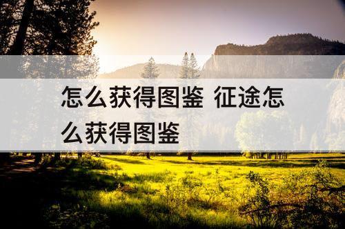 怎么获得图鉴 征途怎么获得图鉴