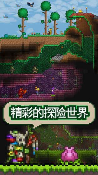 泰拉瑞亚1.4种子附魔剑  v1.0图2