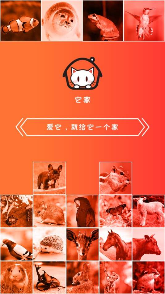 它家  v1.0.6图1