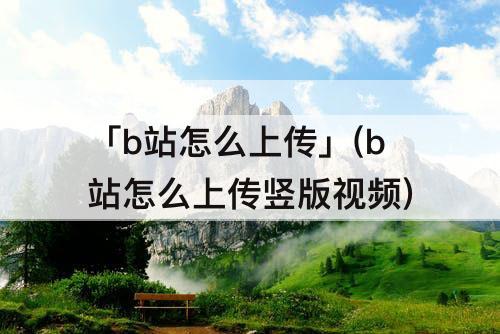 「b站怎么上传」(b站怎么上传竖版视频)
