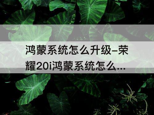 鸿蒙系统怎么升级-荣耀20i鸿蒙系统怎么升级到3