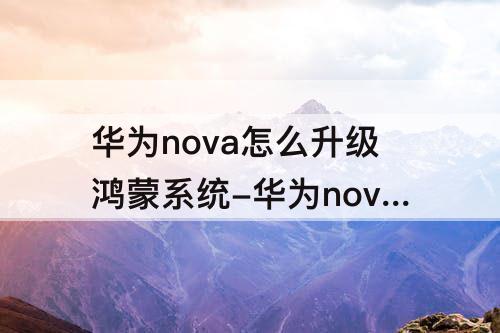 华为nova怎么升级鸿蒙系统-华为nova怎么升级鸿蒙系统了