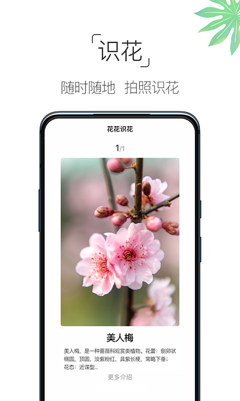 养花大全  v4.3.4图1