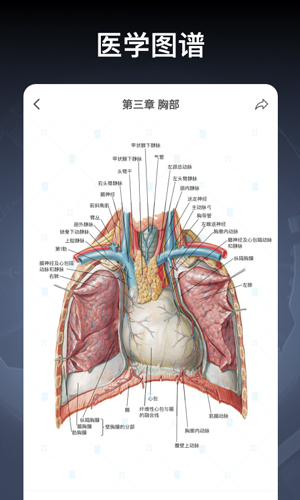 创序医考