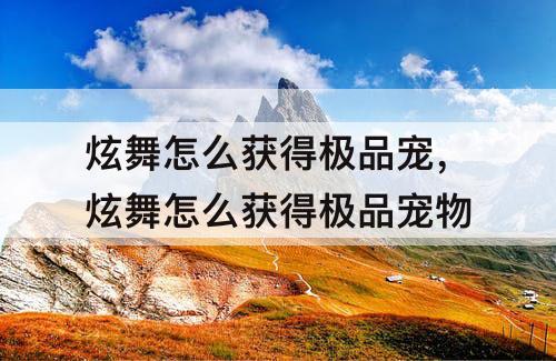 炫舞怎么获得极品宠，炫舞怎么获得极品宠物