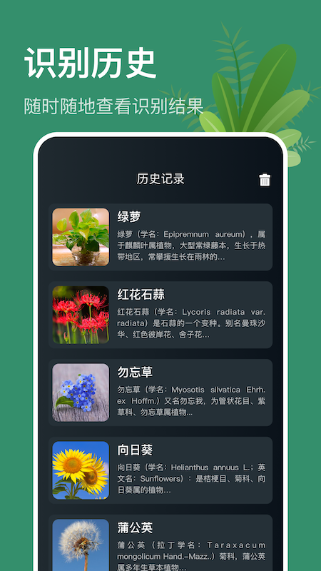 行色识花识植物  v1.1图2