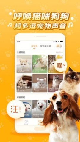 逗猫咪  v6.6.6.2图1