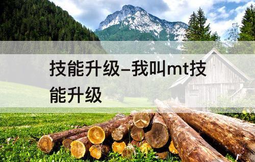 技能升级-我叫mt技能升级