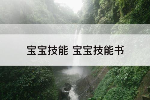 宝宝技能 宝宝技能书