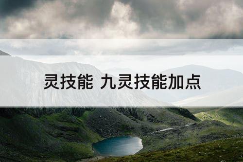 灵技能 九灵技能加点